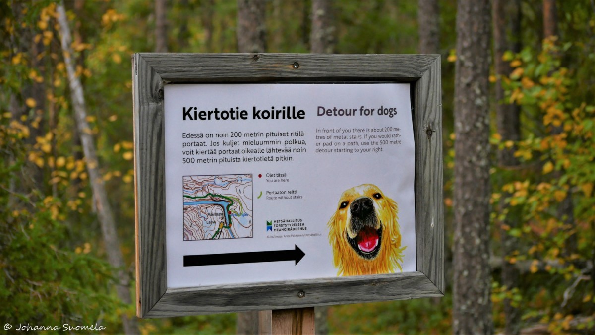 Auttikongas koirabaana