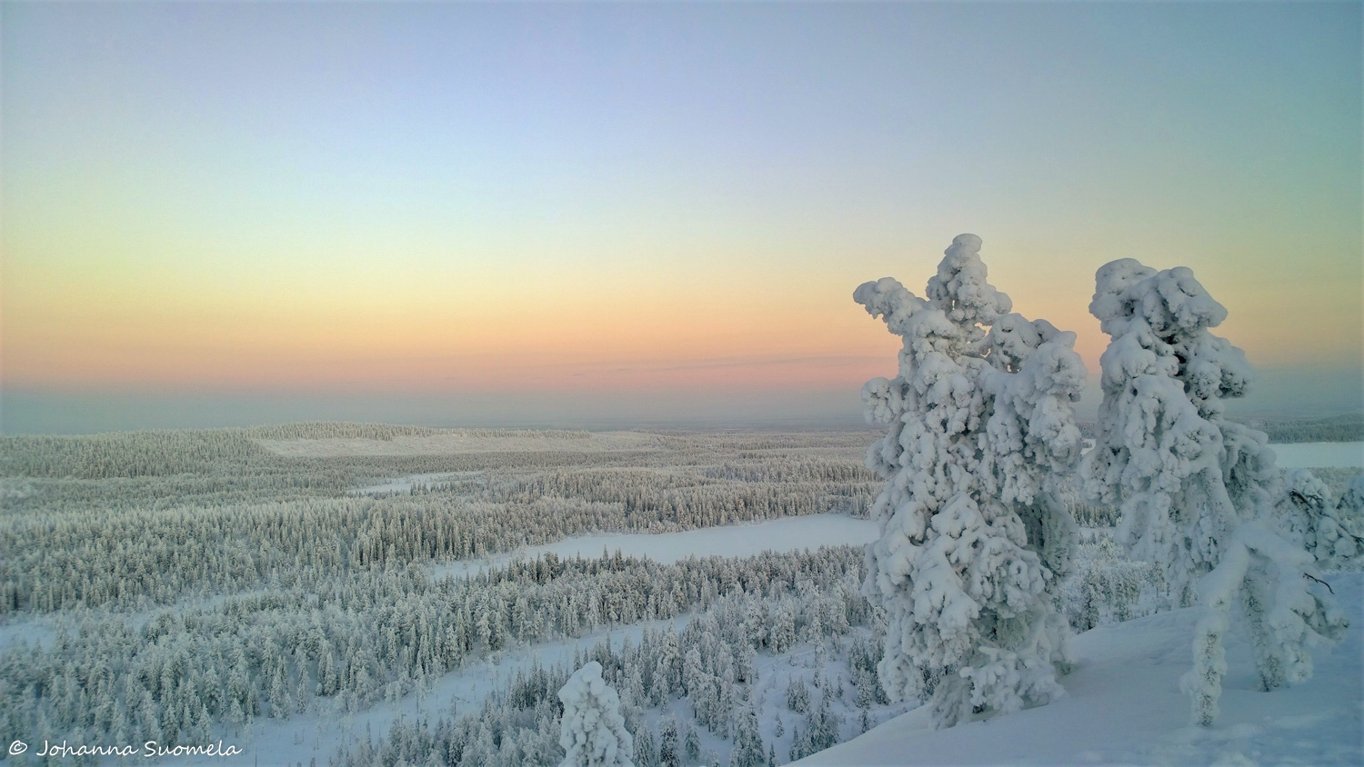 KuusamoKonttaisenKuhaus20210110134735