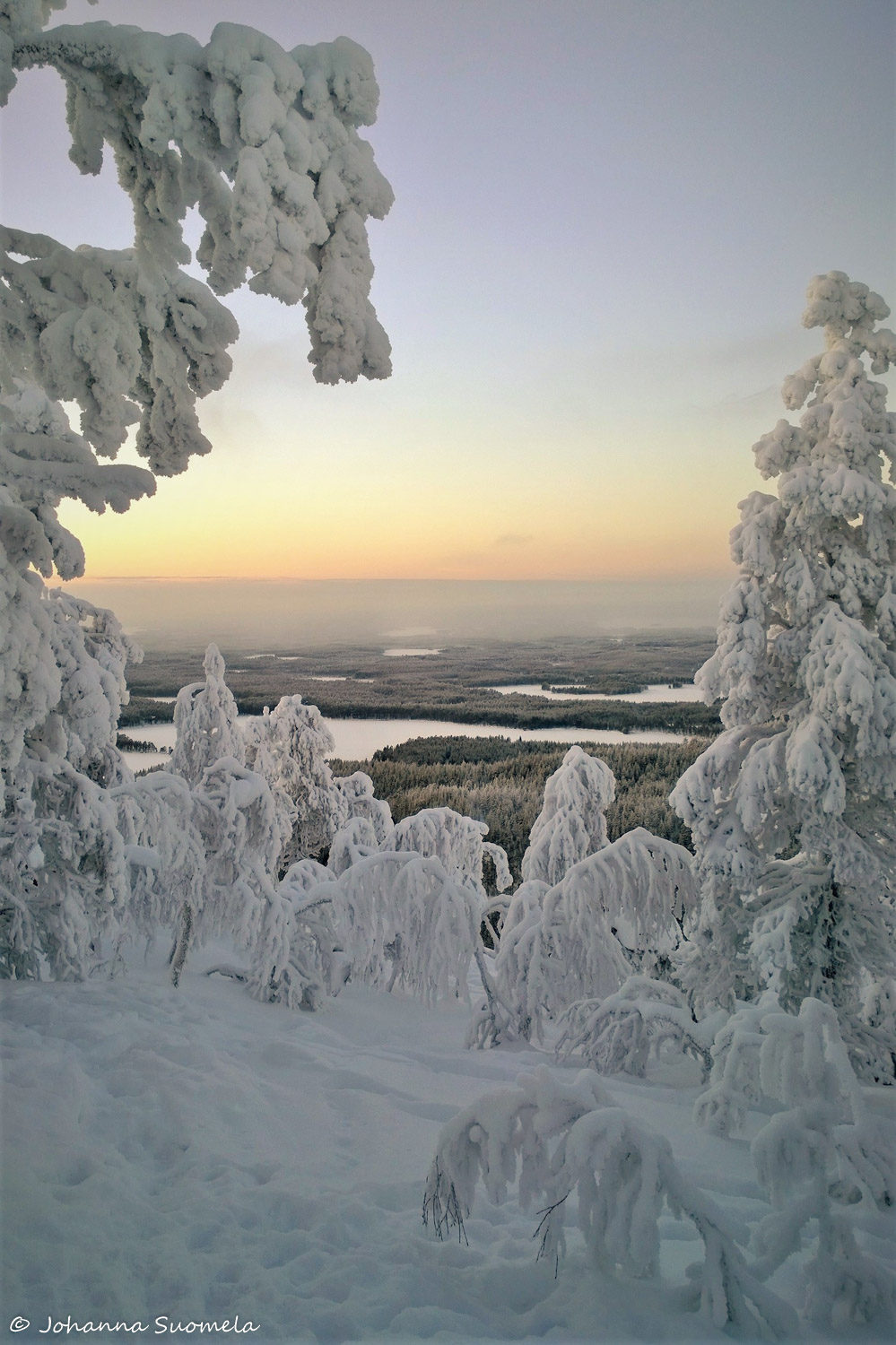KuusamoKonttaisenKuhaus20210110135122