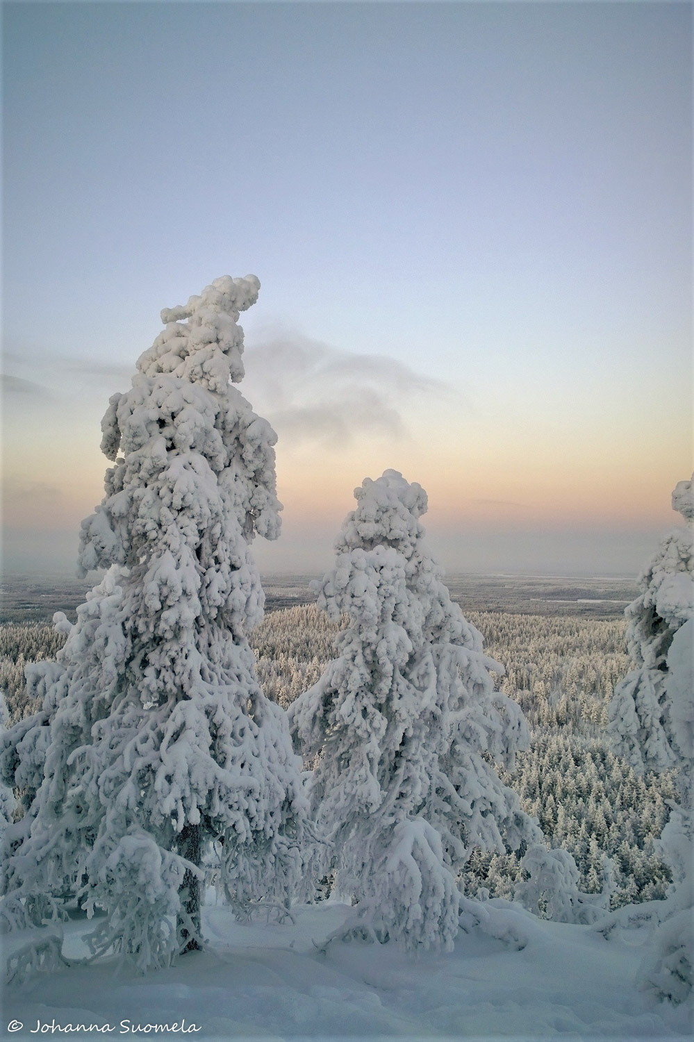 KuusamoKonttaisenKuhaus20210110135234