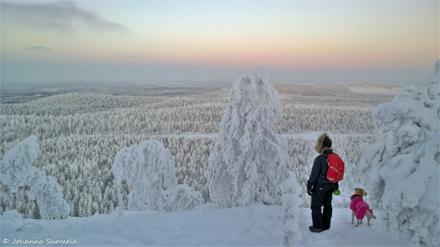 KuusamoKonttaisenKuhaus20210110135259