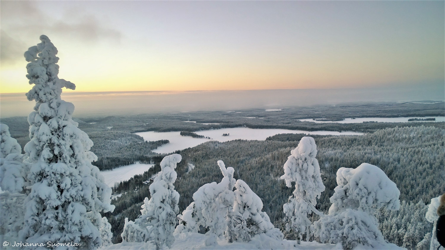 KuusamoKonttaisenKuhaus20210110135638