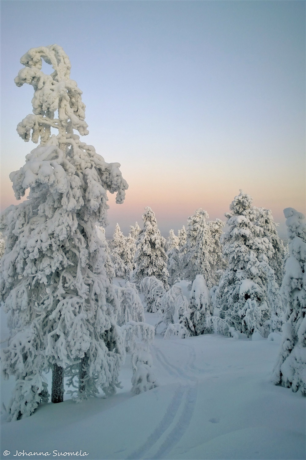 KuusamoKonttaisenKuhaus202101101404111