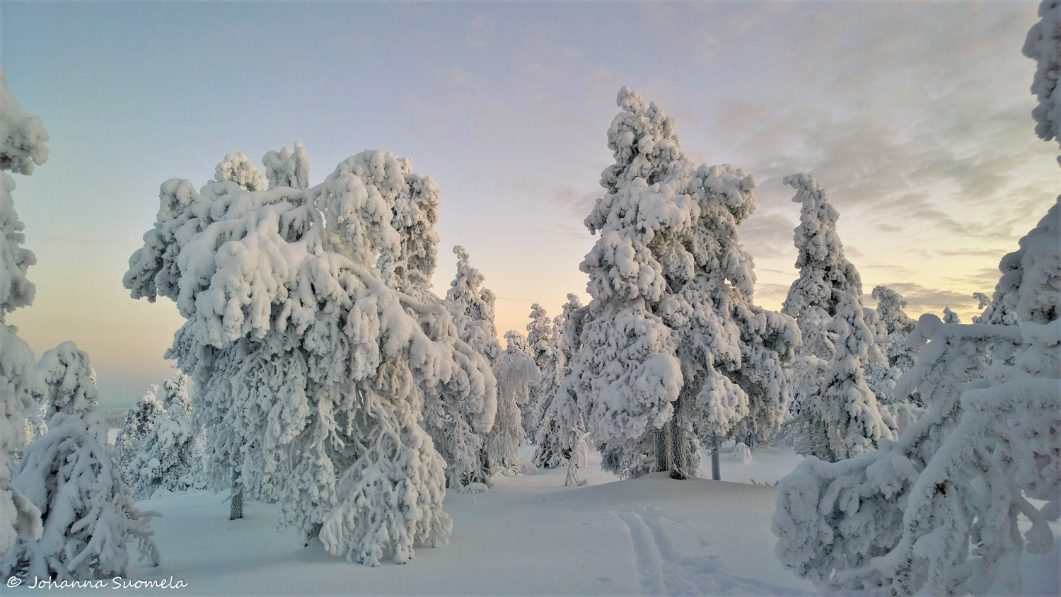 KuusamoKonttaisenKuhaus20210110140442