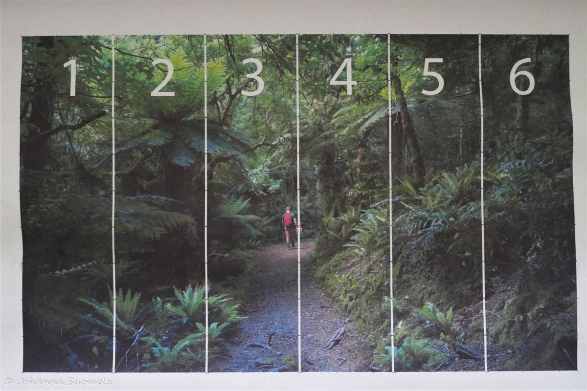 Valokuvatapetti asennus