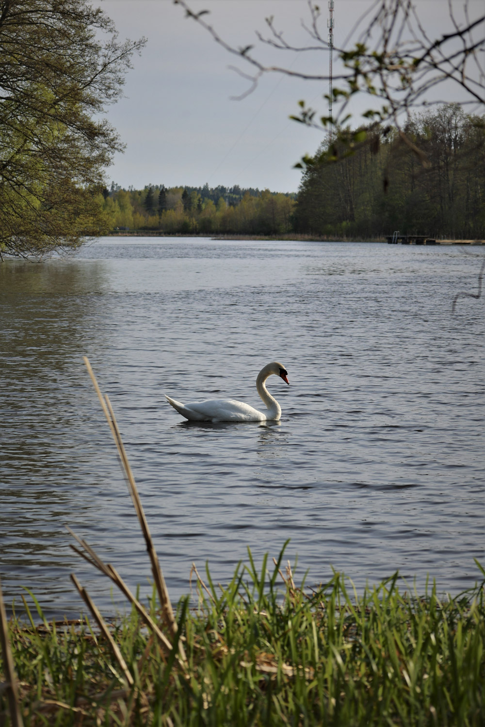 Mustion linnan puisto