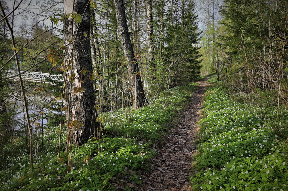 Mustion linnan puisto