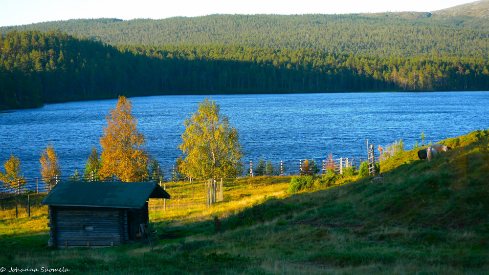 Aamun valoa Kaapin Jounin kentällä.