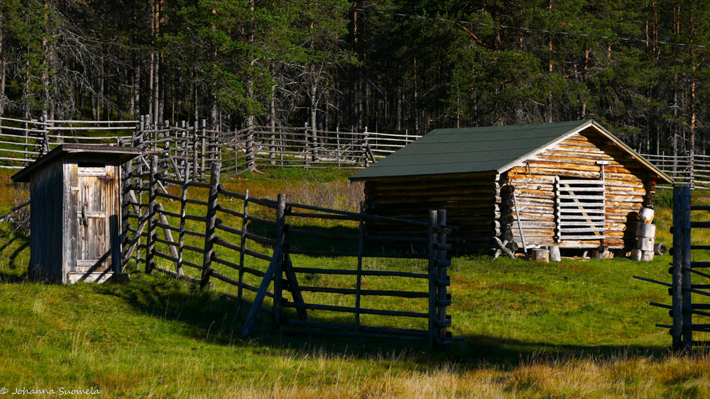 Kaapin Jounin museohuussi ja puuvaja.
