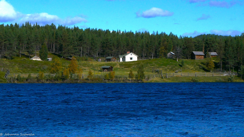 Kaapin Jounin kenttä Sotkajärveltä.