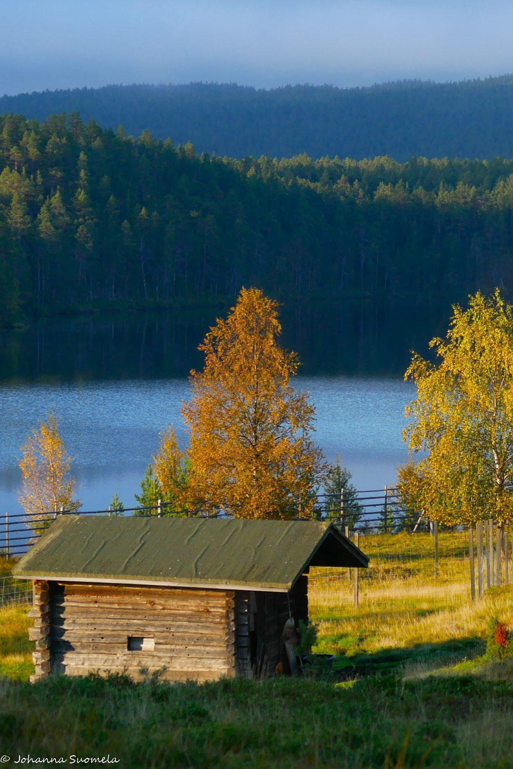 Kaapin Jounin kentän lampaiden sääsuoja.