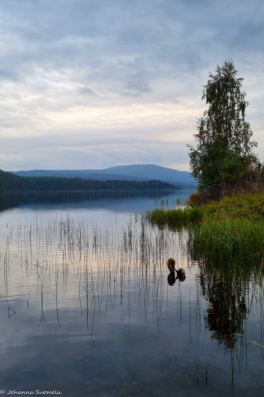 Joenkielisen tunturi Kaapin Jounin laiturilta.