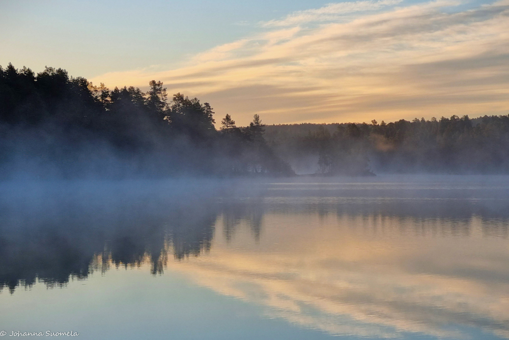 Aamu-usvaa Lemmenjoen Sotkajärvellä.