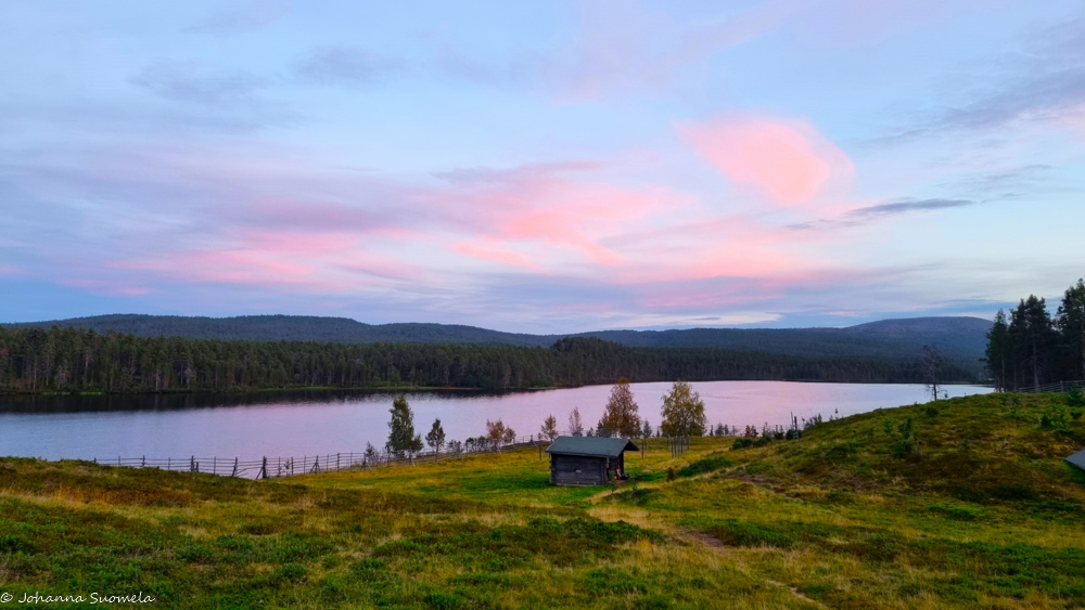 Kaapin Jounin kenttä ja vaaleanpunaisia iltapilviä Sotkajärven yllä.