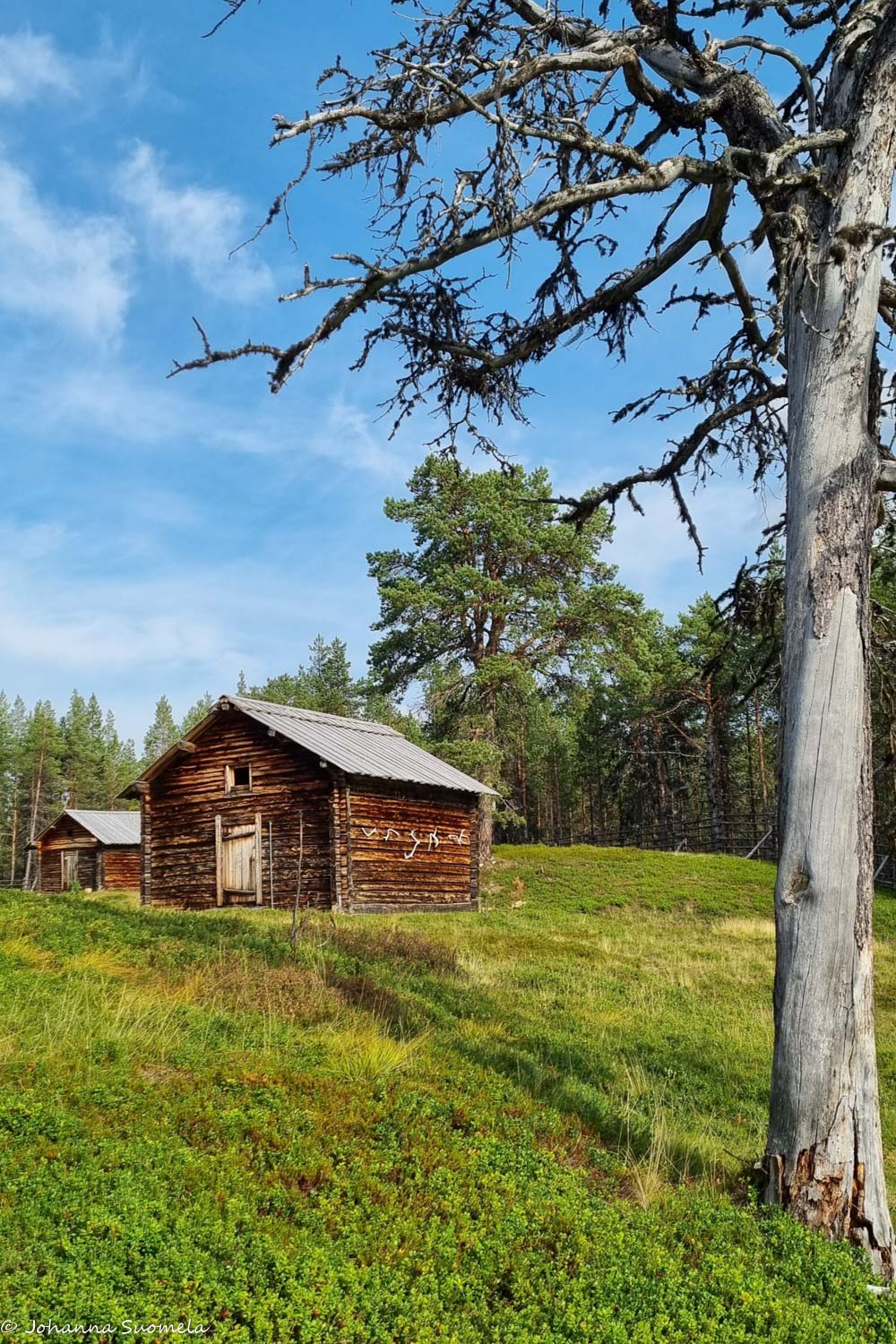 Kelo ja aitat Kaapin Jounin tilalla.