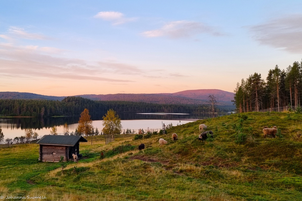 Laskeva aurinko värjää Joenkielisen tunturin punertavaksi Lemmenjoen rannalla.