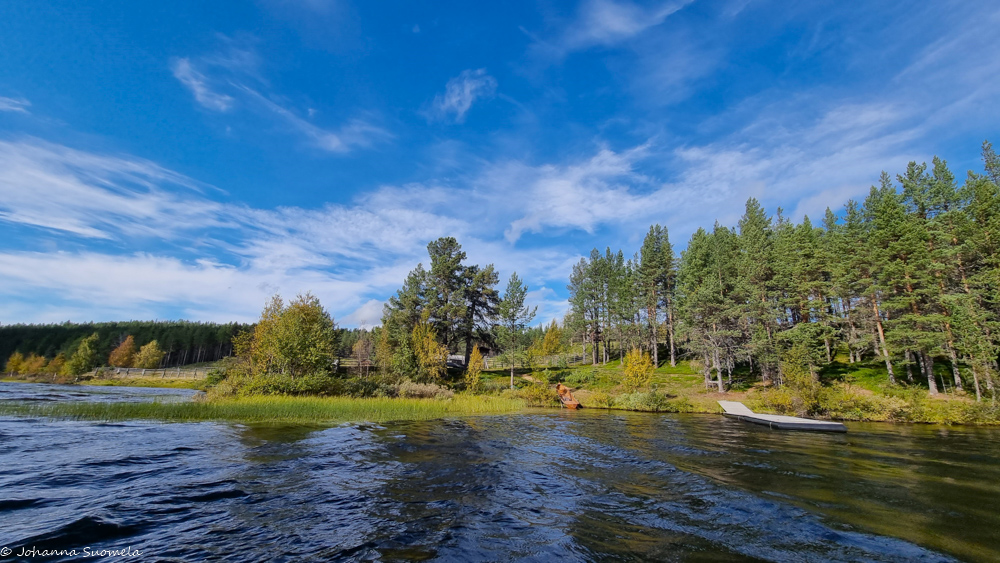 Kaapin Jounin tilan laituri ja ranta Sotkajärveltä päin.