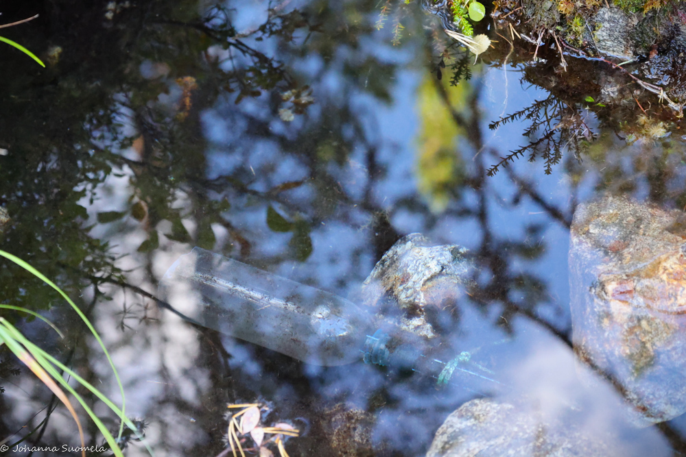 Kaapin Jounin lähteen silmä eli kaltio.