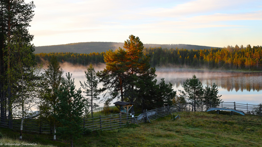 Aamun usvaa Kaapin Jounin kentällä.
