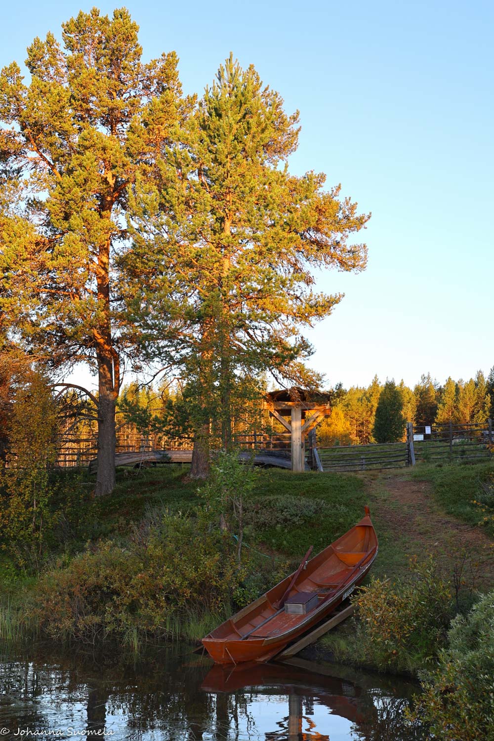 Kaapin Jounin tilan soutuvene ruohikkoisessa rannassa.