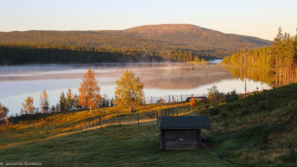 Aamu-usvaa Kaapin Jounin kentällä Lemmenjoella.