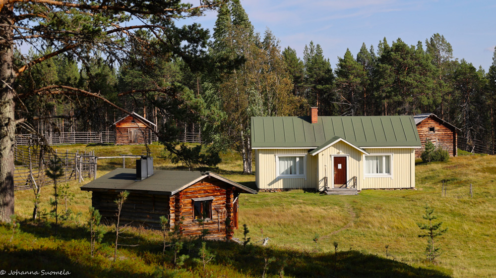Kaapin Jounin kentän sauna, tupa ja kaksi aittaa Lemmenjoella. 