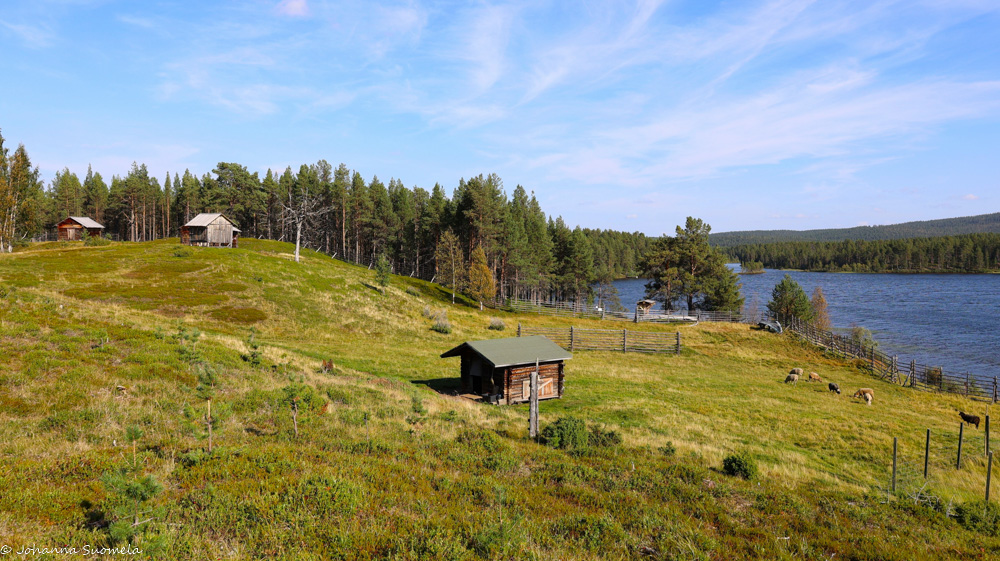 Kaain Jounin kenttä.