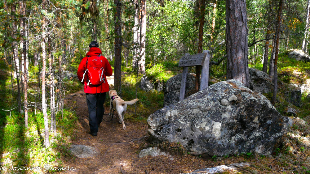 Polku Pielpajärven erämaakirkolle.