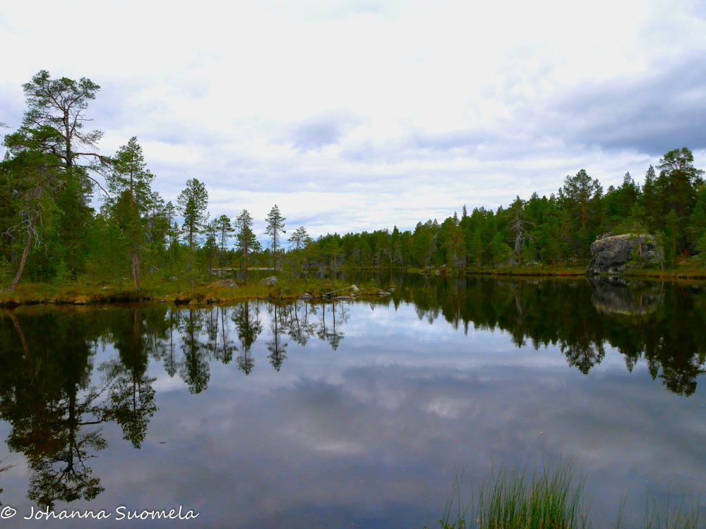 Metsä heijastuu järven pinnasta Inarissa.