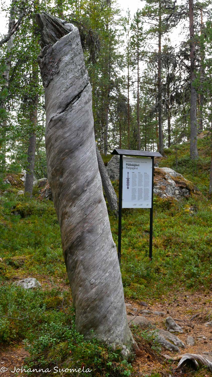 Pysty kelopökkelö ja Pielpajärven polun opastetaulu.