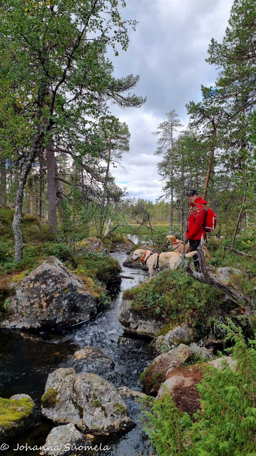 Retkeilijä koirineen purolla.