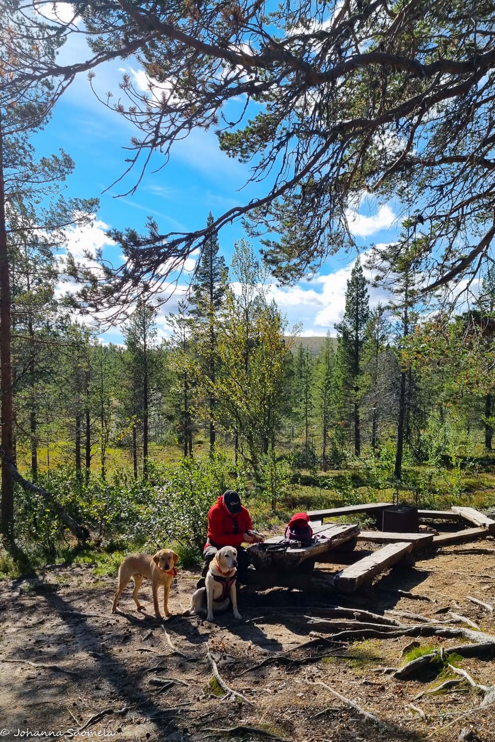 Juurakko-ojan evästelypöytä ja nuotiokehä Joenkielisen kierroksella.