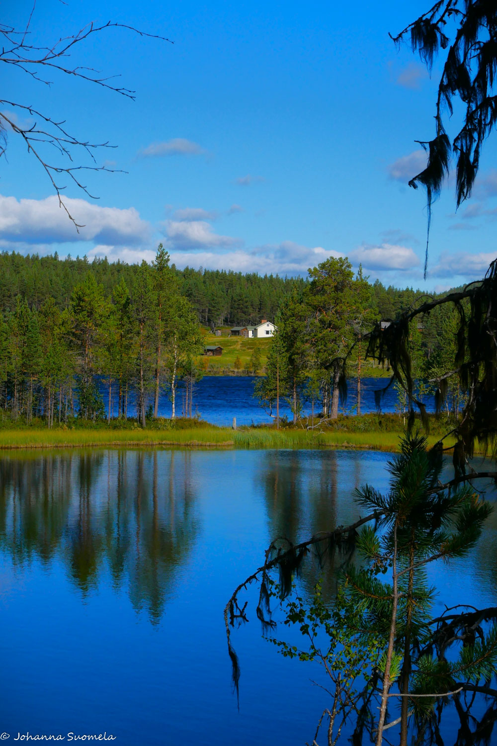Kaapin Jounin kenttä vastarannan lammen takaa.