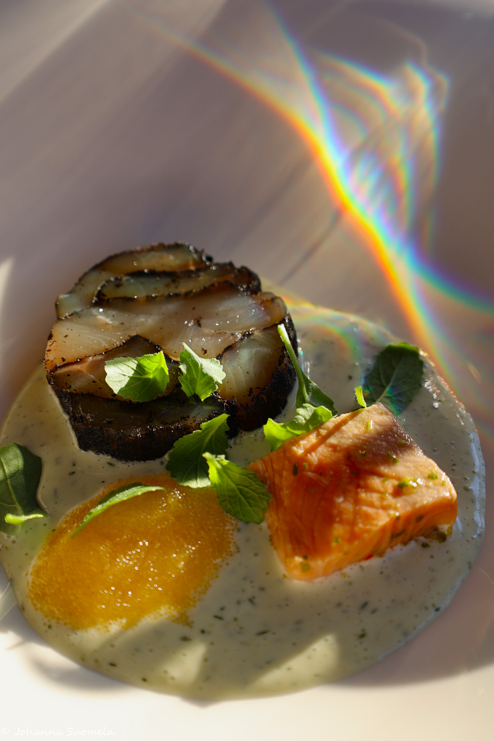 Ravintola Aanaarin annos "Inarinjärvi".

Lautasella siika-purontuhkarulla, taimencheviche, muikun mätiä, pikkelöityä kanervaa ja fenkolikermaa.