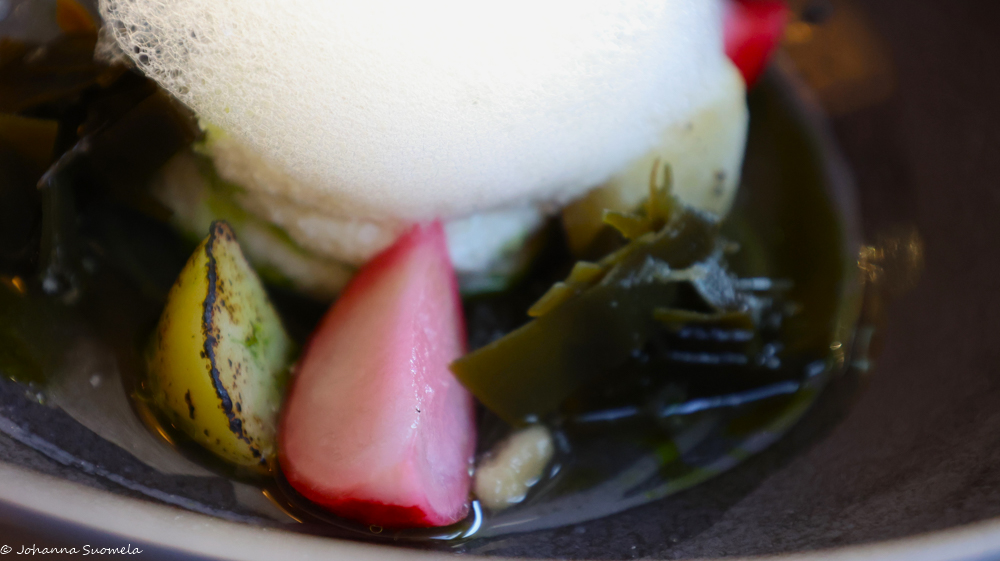 Ravintola Aanaarin annos "Jäämeri": kuivaturskabrandade, haukidashia, poltettua puikulaperunaa ja marinoitua kombua.