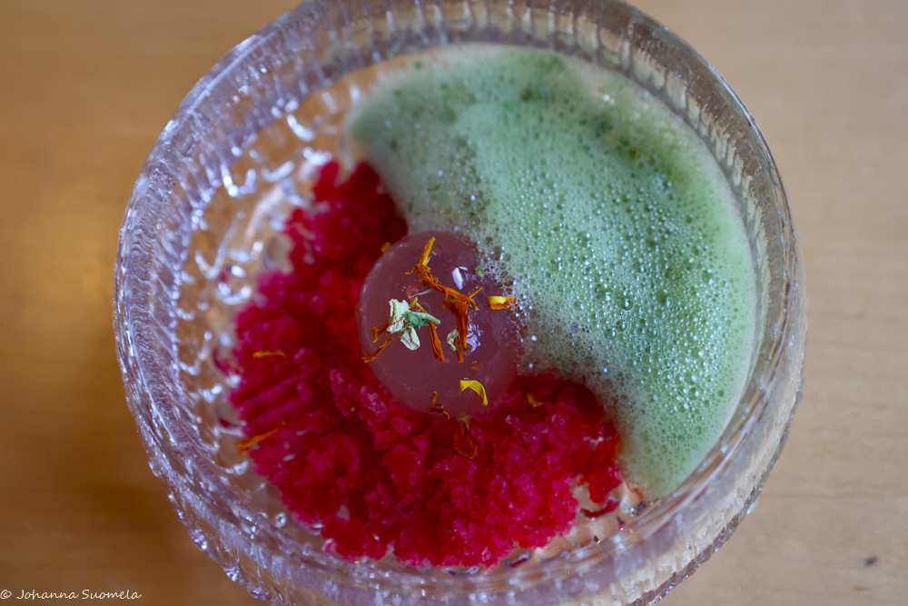 Annos väinonputkea, puolukkaa ja matchaa ravintola Aanaarissa.