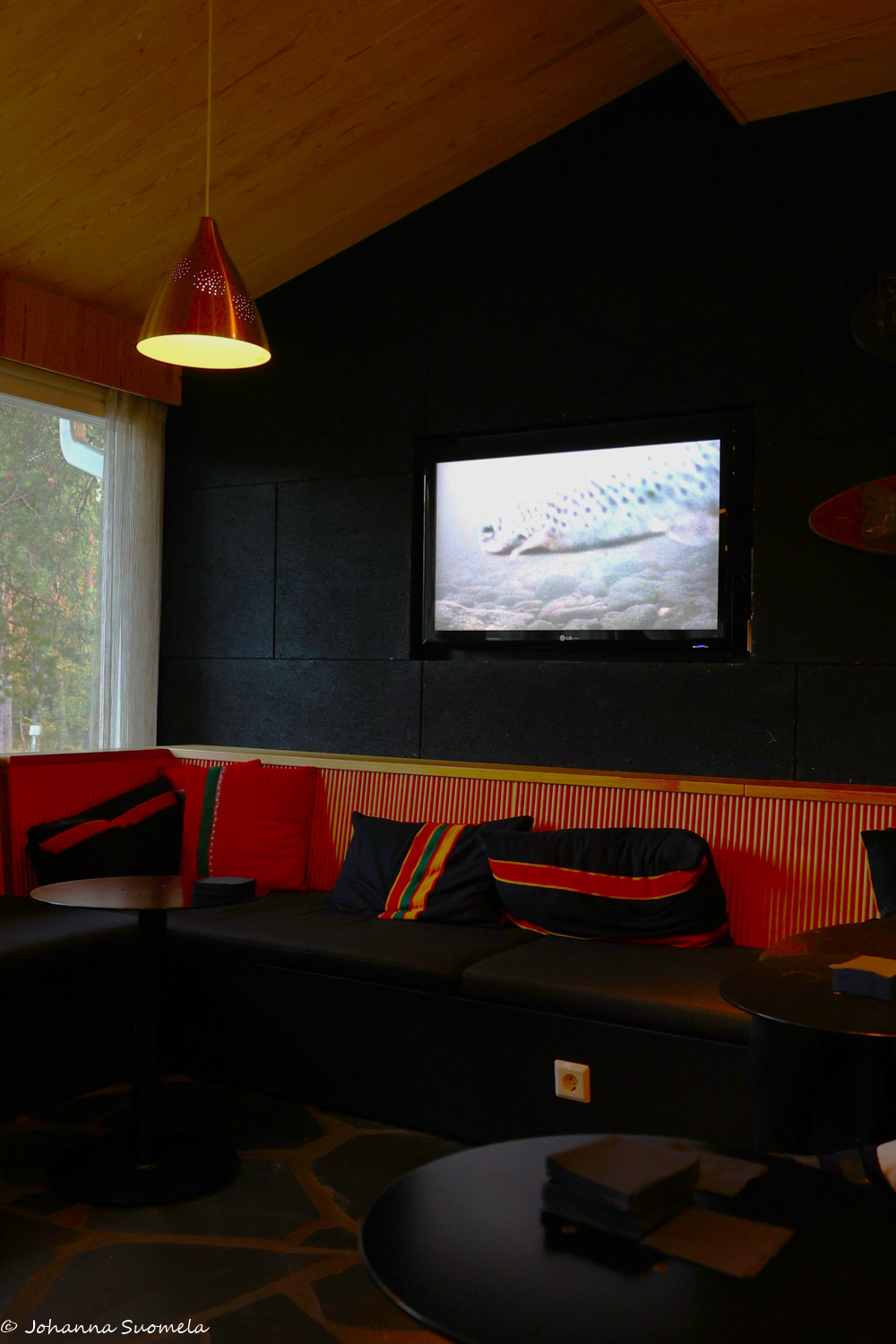 Ravintola Aanaarin kalatelevisio.