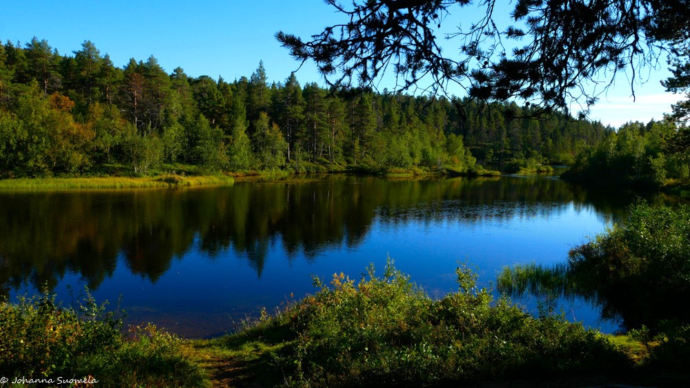 Jokimaisema Searitnivan taukopaikalta Lemmenjoelle.